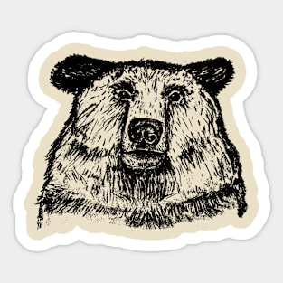 Transparent Bear Sticker